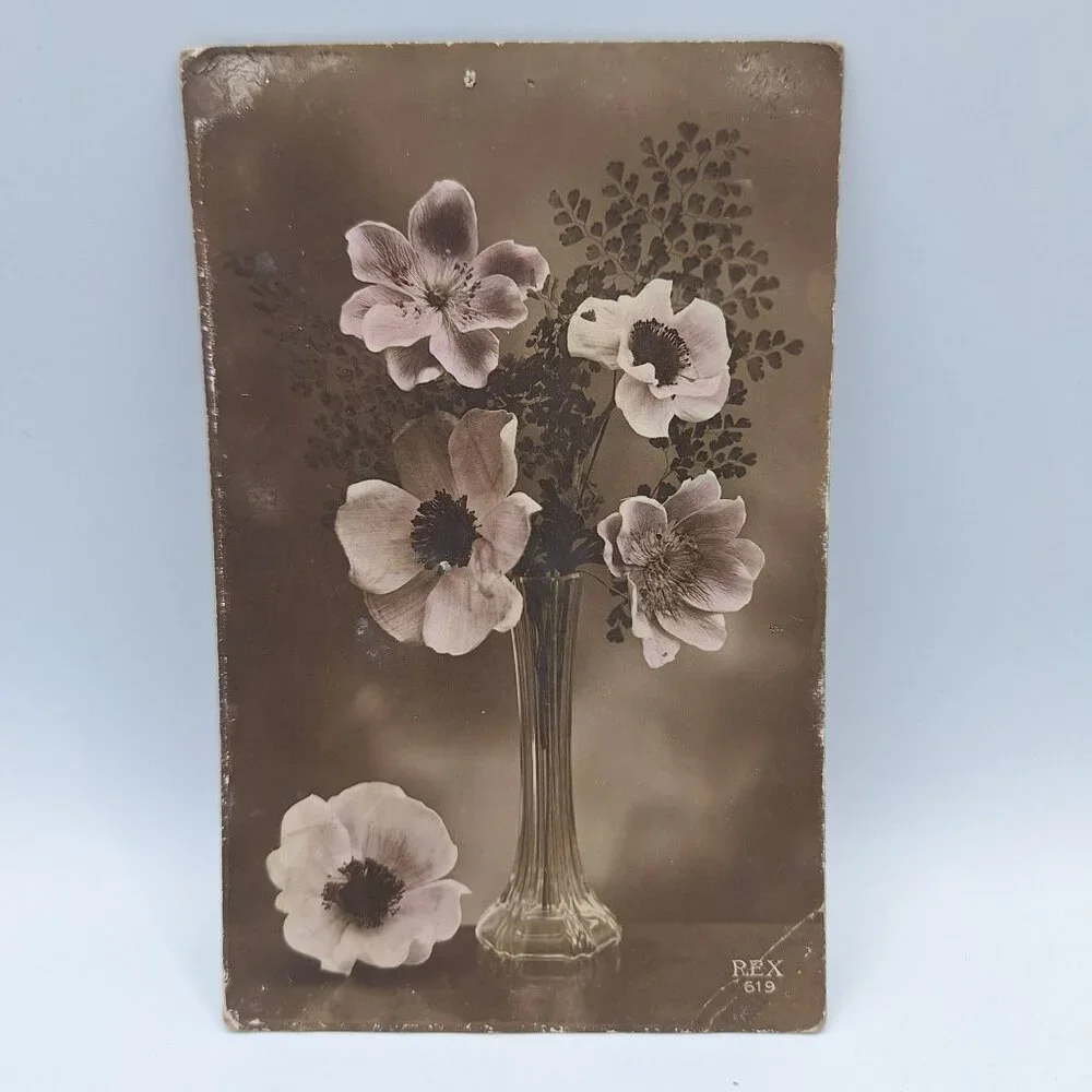 Antique REX 619 Floral Postcard Sepia Botanical Art‎ Belgium Postmark Brown Aged